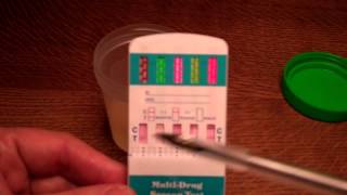 Conducting a 5 panel urine drug test Guide to how it works and how to read the results [upl. by Lebasiairam]