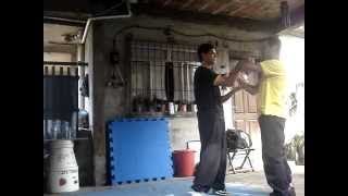 SIFU ANDERSON WING CHUN [upl. by Alaunnoif]