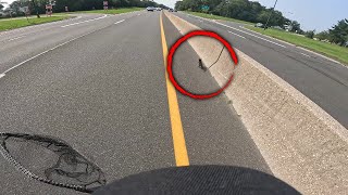 Hero Saves Kitten Running on Busy Long Island Parkway [upl. by Yaeger]