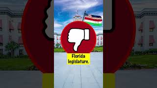 Florida almost had a really bad flag  Flag Facts [upl. by Einnor804]