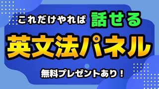 【英文法】日本人が絶対に間違えてしまう語順 これをやれば絶対に直せる英作文パネル [upl. by Eilatan]