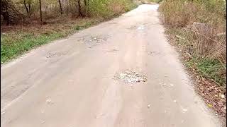 ASMR Walking on a Gravel Road Sounds of Footsteps and Nature for Sleep Meditation and Relaxation [upl. by Ainerbas]