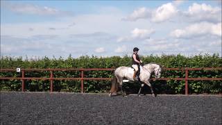 56 Basic core strengthening exercises for horse riders Riding exercise 1 [upl. by Lejeune]