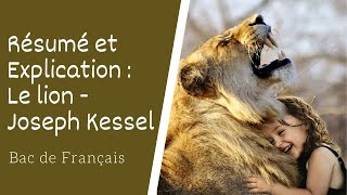 Le Lion de Joseph Kessel Résumé et explication [upl. by Friedland758]