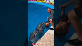 Dolphin 🐬 fish beautiful moment shortsfeed dolphin youtubeshorts [upl. by Atenik]