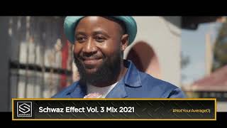 THE SCHWAZ EFFECT VOL 3  AMAPIANO EDITION  DJ SCHWAZ [upl. by Lantha499]