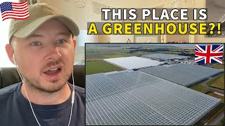 American Reacts to Thanet Earth  The UKs Largest Greenhouse Complex [upl. by Maxfield]