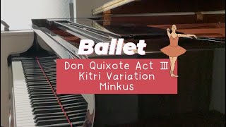 バレエドンキホーテ 第3幕 キトリのバリエーション Ballet Don Quixote Act3 Kitri variation [upl. by Scotney]