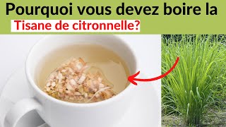 Les bienfaits de la citronnelle en tisane 💥 [upl. by Haran497]