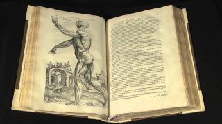 On the Workings of the Human Body de Humani corporis fabrica by Andreae Vesalii [upl. by Thebault]