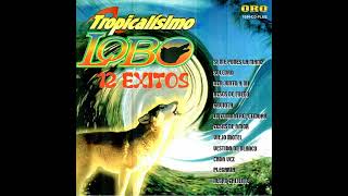 TROPICALISIMO LOBO  12 ÉXITOS FULL ÁLBUM [upl. by Vihs]