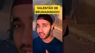 Oque aconteceu com o VALENTÃO de Brumadinho [upl. by Niuqauj516]