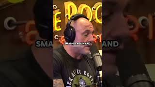 Joe Rogan Exposes Connors Mcgregor Injury [upl. by Wilen]