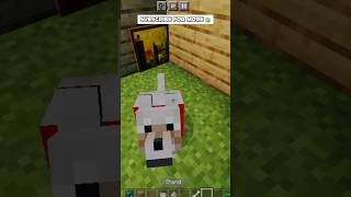 🐕 Dog Door  shorts minecraft [upl. by Eugeniusz403]