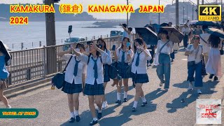 4k hdr japan travel 2024  Walk in Kamakura（鎌倉）Kanagawa japan  Relaxing Natural City ambience [upl. by Kenwrick]