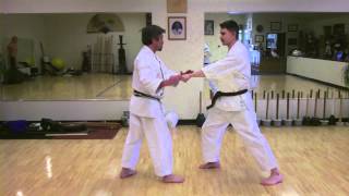 GoJuRyu Basic Bunkai [upl. by Mariandi]