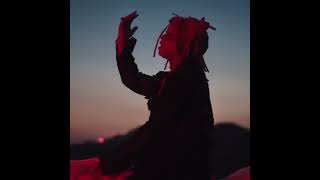 Leray Trippie Redd edit [upl. by Oiramej573]