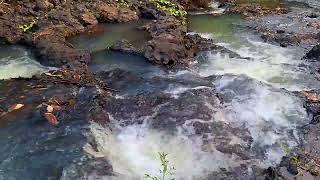 Rushing Water Stream For Relaxing Sleeping Healing Calm Peace [upl. by Isbel]