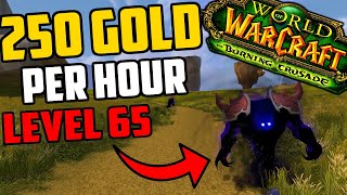 Farming 250 Gold Per Hour At Level 65  Make Gold While Leveling in TBC Classic [upl. by Llednahc]