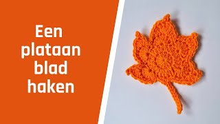 Een plataan blad haken [upl. by Tolland]