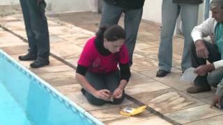 Curso Tratamento Básico para Piscinas Parte5 [upl. by Trainer387]