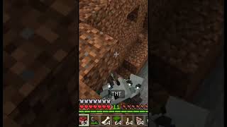 PV 4 Vindicators minecraft [upl. by Bradford]