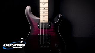 PRS DW CE 24 “Floyd” Limited Edition Quickview  Cosmo Music [upl. by Nowd]