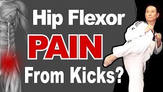 Hip Flexor Strain  Pain from your Kick Learn How to Prevent Kicking Injury  Reduce Hip Back Pain [upl. by Lachance]