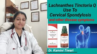 Use of Lachnanthes Tinctoria Q  Homeopethic Important Medicine for cervical spondylitis [upl. by Mariya431]