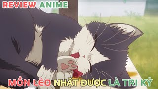 Nhặt Được Chú Mèo Hoang Tôi Như Gặp Được Tri Kỷ  REVIEW PHIM ANIME HAY [upl. by Nhabois]