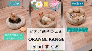 【ORANGE RANGE】 shorts まとめ 3曲ピアノ聴きのエル [upl. by Robinia]