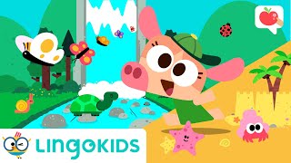 TAKING CARE OF OUR PLANET🌎 💗 VOCABULARY SONGS and GAMES  Lingokids [upl. by Ijok621]