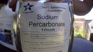 Backyard Pond Maintenance Sodium Percarbonate amp Enzymes [upl. by Vasos]