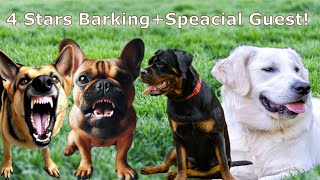 Dog Barking Noises 1 Hour  Dog Barking Sounds 1 Hour  Dog Barking Noises 1 Hour Loud  60 minutes [upl. by Annoit526]