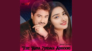 Tere Bina Zindagi Adhoori [upl. by Aranat]