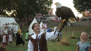 12 Srednjovjekovni festival oko kaštela Morosini  Grimani [upl. by Deppy]