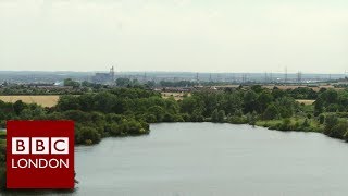 Mucking Marshes Landfill site to wildlife haven  BBC London [upl. by Noiz]