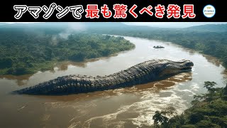 川に奇妙な生物が現れ、村人たちは恐怖に怯える。アマゾン流域で最も信じられない8つの発見！神秘 top top10 世界 カメラ 动物 アマゾン 生き物 ドローン 川 発見 [upl. by Cass17]