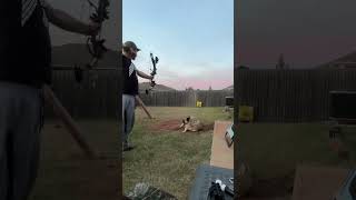 Shooting the new compound bow with my Kangal dog Thor [upl. by Onahpets]