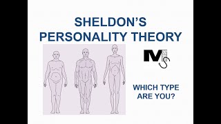 Sheldons Personality Theory  Simplest explanation Ever [upl. by Windzer]