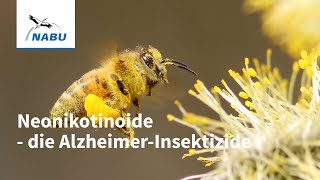 Neonikotinoide So gefährlich sind die Insektizide [upl. by Gruver225]