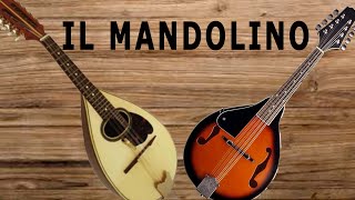 IL MANDOLINO [upl. by Ciro]