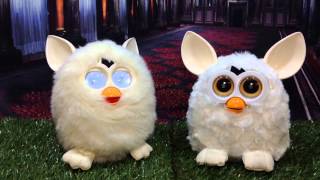 Comparison Furby Fake White [upl. by Cindi]