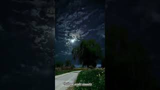 Village Night Sounds Nature Sounds Cricket Soundsshorts [upl. by Marala971]