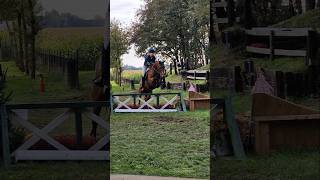 SGW Ysselsteyn 2024 in 1 minuut 🐎 SGW SGWYsselsteyn Ysselsteyn Cross CrossCountry Eventing [upl. by Koo]