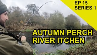 Pristine Autumn Perch Chasing Scales Species Hunt EPISODE 15 [upl. by Khalsa]