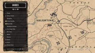 Red Dead Redemption 2 Quest Castor‘s Ridge Homestead [upl. by Hapte143]