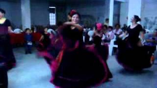 DANZA REGIONAL LOS HUARACHES [upl. by Ileane]