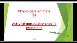 Physiologie animaleTPActivité musculaire chez la grenouille [upl. by Palla549]