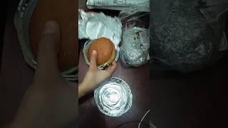 burgers fastfood tasty food YouTube subscribe 🙏🙏 [upl. by Eberhard735]